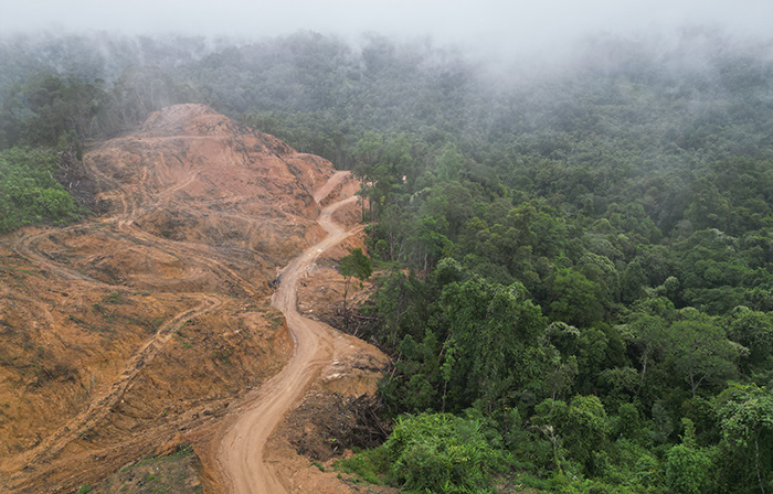 The impact of logging near Long Payau