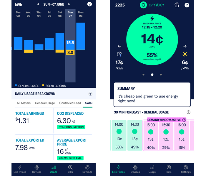 Screenshots from the Amber app showing aily usage info and electricity spot price