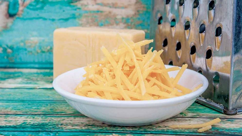 Vintage cheddar cheese taste test