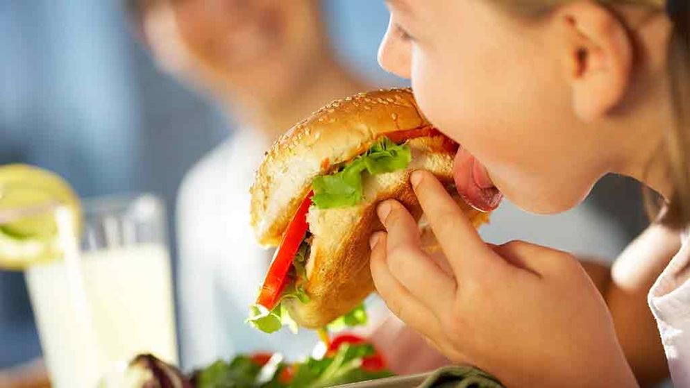 Fast food not to blame for obesity essay