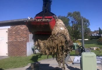  Wipes being removed from a suburban pumping station - photo supplied by Sydney Water