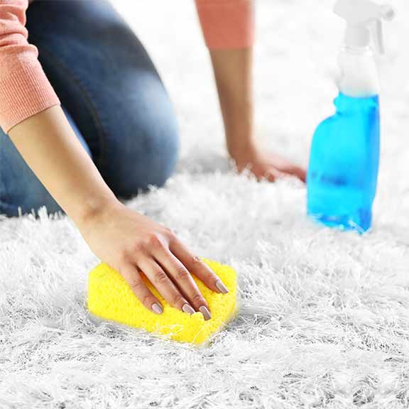 Carpet shampooers buying guide CHOICE