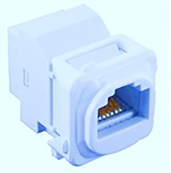 RJ45 socket
