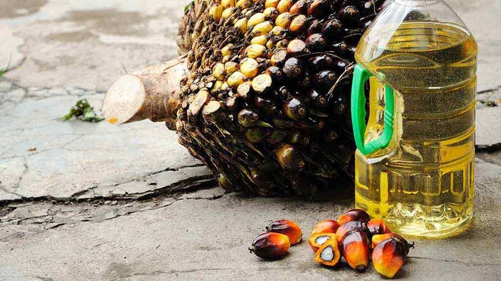  Palm  oil  labelling Food  and drink